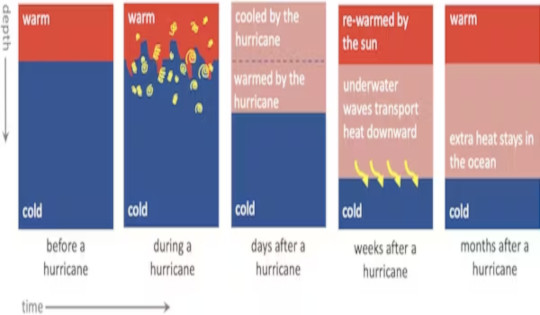 hurricanes and ocean warming3 6 20