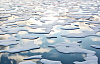 White sea ice in blue water with the sun setting reflected in the water