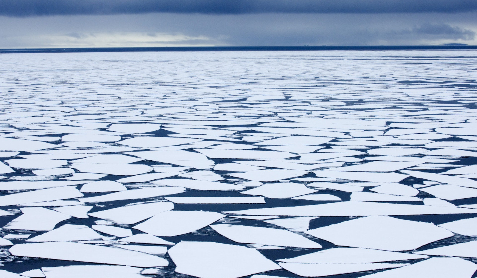 Record Low Antarctic Sea Ice Is Another Alarming Sign