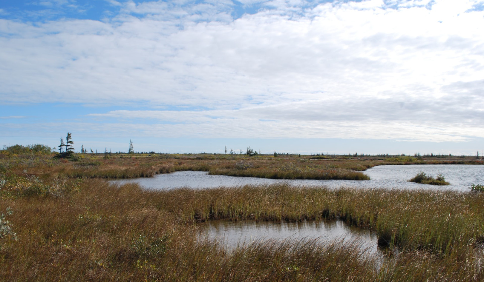 How Climate Change Is Impacting The Hudson Bay Lowlands — Canada’s Largest Wetland
