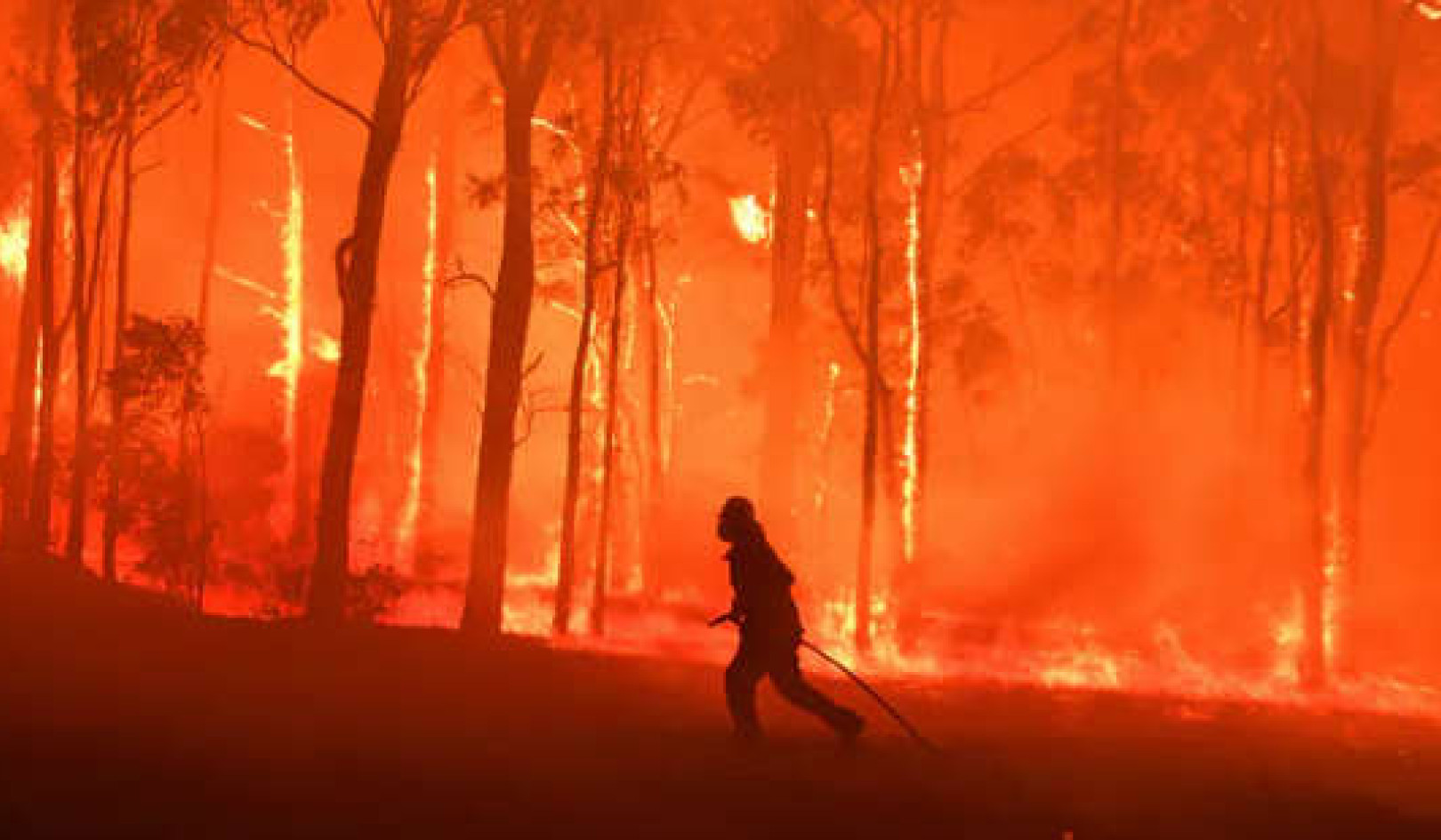 A Staggering 1.8 Million Hectares Burned Australia's Black Summer