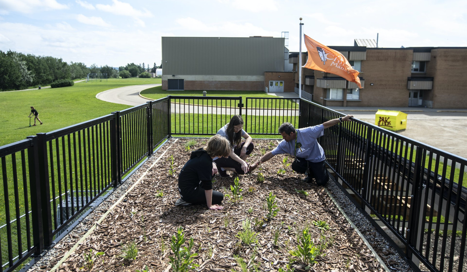 How Schools And Families Can Take Climate Action By Learning About Food Systems